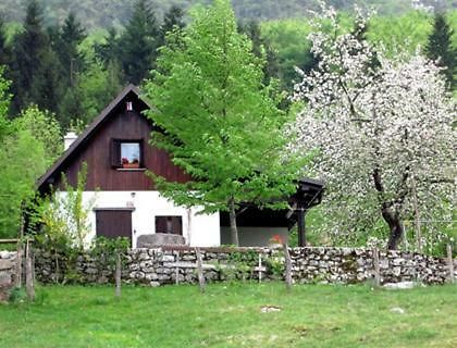 Вилла Pocitniska Hiska Jager Cezsoca Экстерьер фото